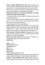 Prakses atskaite 'Pedagoģiskā prakse', 11.