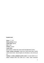 Prakses atskaite 'Pedagoģiskā prakse', 13.