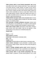 Prakses atskaite 'Pedagoģiskā prakse', 16.