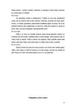 Prakses atskaite 'Pedagoģiskā prakse', 54.