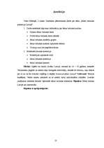 Referāts 'Metal mūzikas komercija Latvijā', 23.