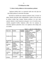 Biznesa plāns 'SIA "Labais krasts"', 33.