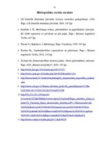 Biznesa plāns 'SIA "Labais krasts"', 35.