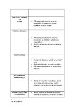 Konspekts 'Nodarbību plāns pirmsskolā "Daba vasarā"', 3.