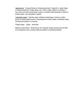 Konspekts 'Astronomija', 7.