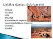 Prezentācija 'Dabas resursu krājumi, nodrošinājums un patēriņa ģeogrāfija', 5.