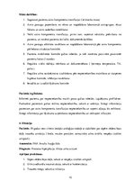 Prakses atskaite 'Prakses dienasgrāmata', 10.