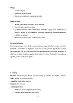 Prakses atskaite 'Prakses dienasgrāmata', 11.