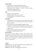 Prakses atskaite 'Prakses dienasgrāmata', 13.