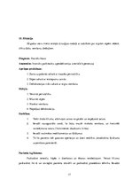 Prakses atskaite 'Prakses dienasgrāmata', 17.