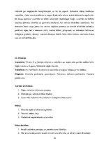 Prakses atskaite 'Prakses dienasgrāmata', 19.