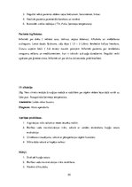 Prakses atskaite 'Prakses dienasgrāmata', 20.