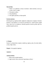 Prakses atskaite 'Prakses dienasgrāmata', 22.