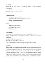 Prakses atskaite 'Prakses dienasgrāmata', 24.