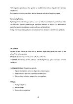 Prakses atskaite 'Prakses dienasgrāmata', 28.