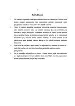 Referāts 'E-komercija un uzņēmuma attīstības perspektīvas', 17.