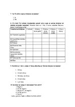 Prakses atskaite 'Brāļu un māsu ietekme uz cilvēka dzīvi', 17.