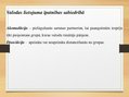 Prezentācija 'Valodas loma sabiedrībā', 5.