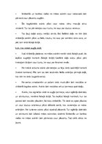 Konspekts 'Asinsrite auglim un jaundzimušajam', 2.