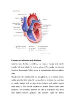 Konspekts 'Asinsrite auglim un jaundzimušajam', 6.