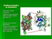 Prezentācija 'Insulīns', 4.