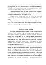 Referāts 'Kultūras tipoloģija', 6.