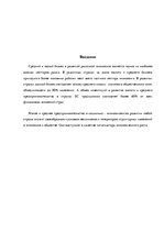 Referāts 'Средний и малый бизнес', 2.