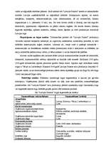 Referāts 'Mārketinga stratēģija uzņēmumā', 6.