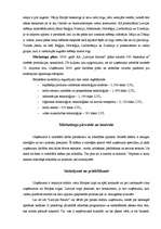 Referāts 'Mārketinga stratēģija uzņēmumā', 9.