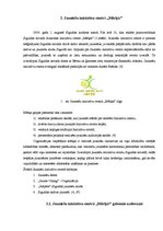 Diplomdarbs 'Siguldas Jauniešu iniciatīvu centra "Mērķis" attīstība', 8.