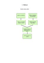 Diplomdarbs 'Siguldas Jauniešu iniciatīvu centra "Mērķis" attīstība', 21.