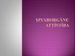 Prezentācija 'Izvadorgānu attīstība', 1.