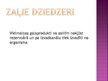 Prezentācija 'Izvadorgānu attīstība', 6.