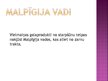 Prezentācija 'Izvadorgānu attīstība', 8.