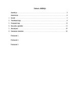 Referāts 'Hromatogrāfija', 1.