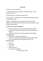 Referāts 'Hromatogrāfija', 3.