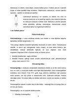 Referāts 'Hromatogrāfija', 6.