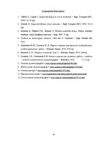 Referāts 'Hromatogrāfija', 19.