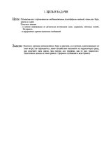 Referāts 'Необыкновенные природные явления: буря, ураган и смерч', 3.