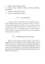 Referāts 'Augu ekstrakti kā antioksidanti', 8.