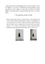 Referāts 'Augu ekstrakti kā antioksidanti', 12.