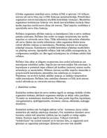 Referāts 'Cilvēka uzbūve', 4.