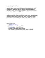 Referāts 'Cilvēka uzbūve', 7.