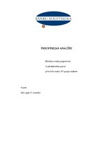 Referāts 'Industrijas analīze biznesa idejai', 1.