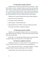 Referāts 'Industrijas analīze biznesa idejai', 12.
