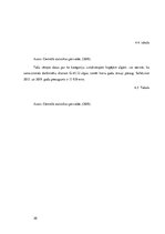 Referāts 'Industrijas analīze biznesa idejai', 20.