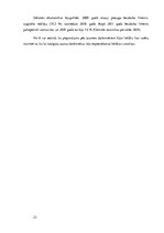 Referāts 'Industrijas analīze biznesa idejai', 23.