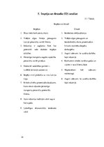 Referāts 'Industrijas analīze biznesa idejai', 24.