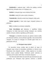 Referāts 'Vērtspapīri', 2.