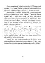 Referāts 'Vinsents van Gogs', 8.